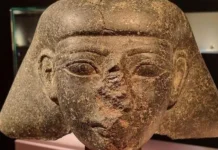 Ολλανδία: Επιστρέφει στην Αίγυπτο την προτομή του Τούθμωση Γ’ – Ηλικίας 3.500 ετών