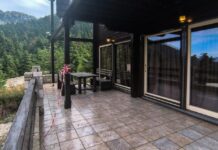 Δολοφονία Λάλα: Παλιός γνώριμος των Αρχών ο ένας από τους συλληφθέντες – Βρέθηκαν 8 όπλα και πάνω από 100.00 ευρώ