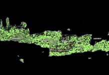 Νέες ρυθμίσεις για Κτηματολόγιο και Δασικούς Χάρτες – Ανάσα για χιλιάδες ιδιοκτήτες