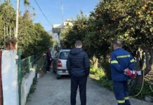 Ναύπακτος: Θρίλερ με τα δύο αδέρφια που βρέθηκαν νεκρά μετά από φωτιά – Οι πέντε διαθήκες και η άφαντη οικιακή βοηθός