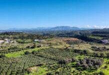 Κρήτη: Πρώτη επιστροφή χρημάτων από παράνομη επιδότηση – Αγρότης επέστρεψε 20.000 ευρώ!