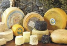 Ελληνικό το καλύτερο τυρί στον κόσμο για το 2025!