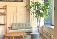 Αυτό είναι το «φυτό της χρονιάς» για το 2026 -Φέρνει τύχη και χρειάζεται ελάχιστη φροντίδα