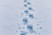 «Σκανδιναβικό ψύχος» στο φινάλε του 2025: Ραγδαία πτώση θερμοκρασίας και πιθανές χιονοπτώσεις