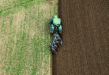 Κρίσιμο δεκαπενθήμερο για αγρότες με εκκρεμότητες στις αιτήσεις ενίσχυσης – Τα λάθη που πρέπει να διορθωθούν