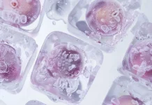 Κατάψυξη Ωαρίων: Τι χρειάζεται να γνωρίζεις