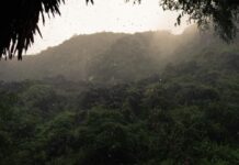 Καιρός στην Κρήτη: Ήπια Τρίτη και μετά… «ERMINIO» με ισχυρές καταιγίδες στα δυτικά και νότια!