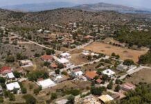 Κτηματολόγιο: Χιλιάδες ιδιοκτήτες κινδυνεύουν να χάσουν τη γη τους – Το «θρίλερ» με τους δασικούς χάρτες