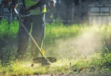 Καθαρισμός οικοπέδων: Ποιες αλλαγές εισάγονται για τις υποχρεώσεις των πολιτών-Δημοσιεύθηκε η ΚΥΑ