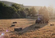 Αγρότες: Επιστροφή στο ειδικό καθεστώς ΦΠΑ – Ποιοι απαλλάσσονται από πρόστιμα και δηλώσεις