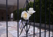 Εφηβεία υπό πίεση: ψυχική ευαλωτότητα, κοινωνικές προσδοκίες και η κατάρρευση του νοήματος στην εμπειρία της αποτυχίας