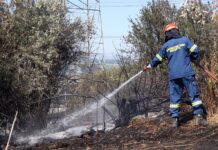 «Χειροπέδες για ένα μπάρμπεκιου! 9 συλλήψεις μέσα στο Σαββατοκύριακο – Φυλακή αν από αμέλεια καεί δάσος»