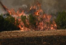 Ο «Σύνδεσμος Μελών Γυναικείων Σωματείων Ηρακλείου και Ν. Ηρακλείου» για τις φονικές πυρκαγιές στο Ρέθυμνο
