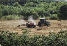Ανοίγει ο δρόμος για ψεκασμούς με drones – Τι αλλάζει για τους αγρότες