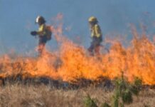 Σοκ στην Κρήτη: 16χρονος συνελήφθη για πρόκληση πυρκαγιάς!