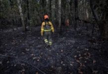«Κανείς δεν μένει πίσω»: Πώς η Ισπανία έσωσε όλα τα ζώα από τις φωτιές