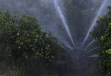 Σχεδόν ένας στους δύο αγρότες δηλητηριάζεται από φυτοφάρμακα